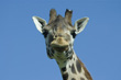 View enlarged image
